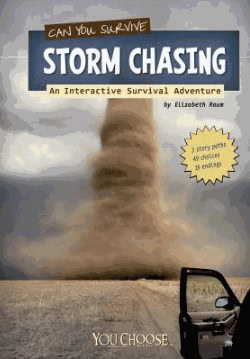 can you survive storm chasing