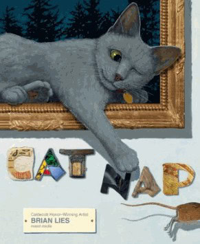 cat nap