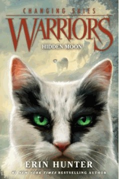 changing skies 2 hidden moon