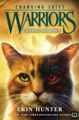 chasing shadows changing skies warriors