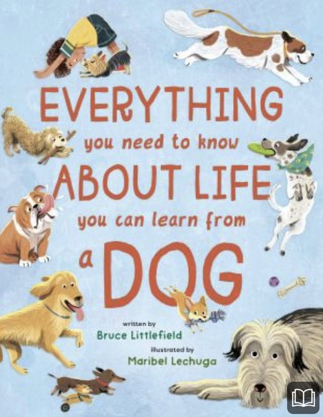 everything you need to know about life you can learn from a dog