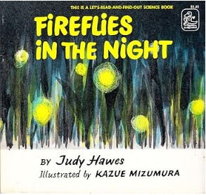 fireflies in the night