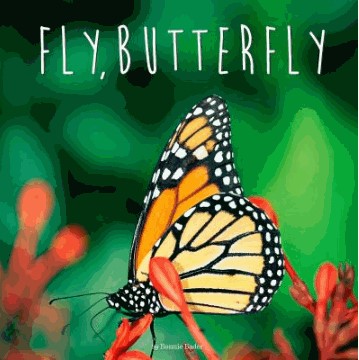 fly butterfly