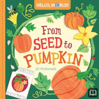 from seed to pumpkin