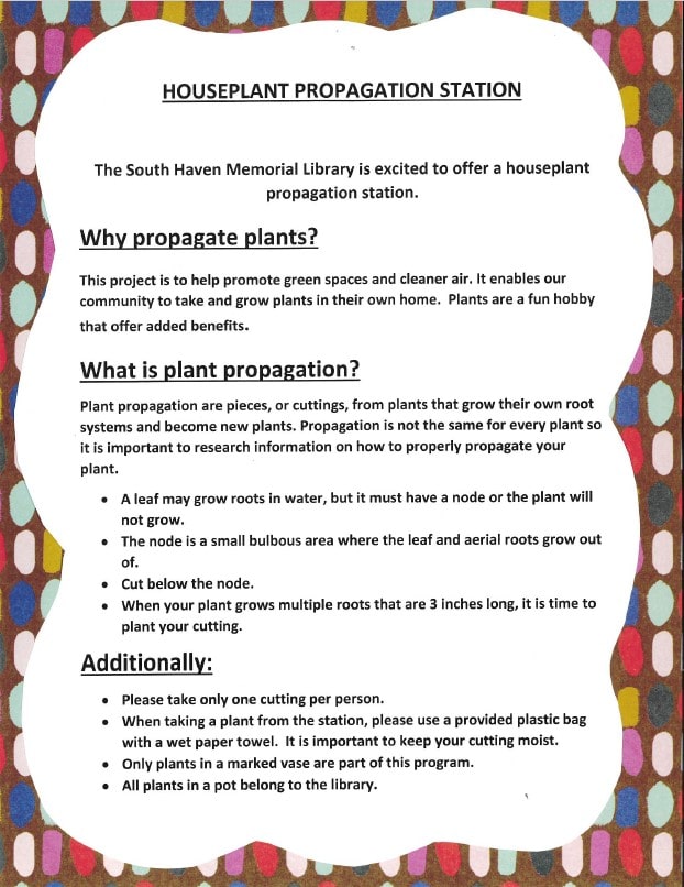 houseplant propagation station flyer