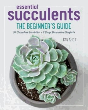 nf essential succulents the beginner's guide