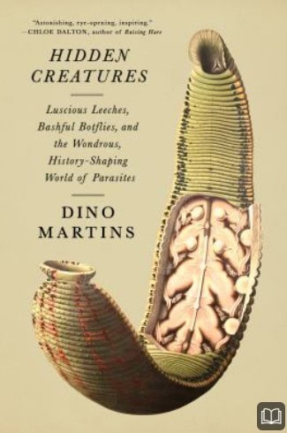 nf hidden creatures