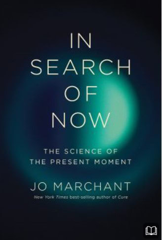 nf in search of now