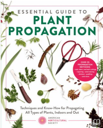 nf plant propagation