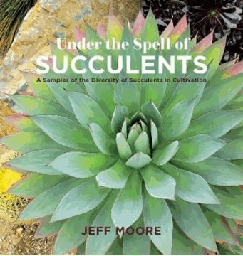 nf under the spell of succulents