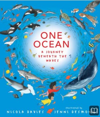 one ocean a journey beneath the waves