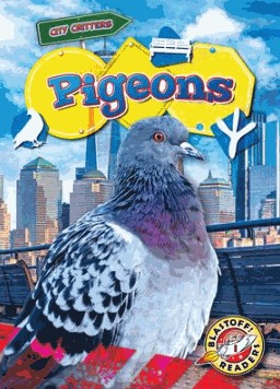 pigeons