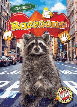 raccoons