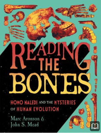 reading the bones