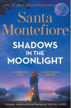 shadows in the moonlight