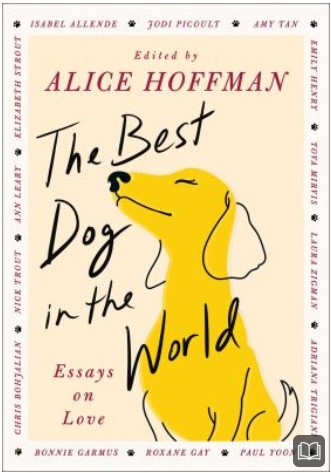 the best dog in the world