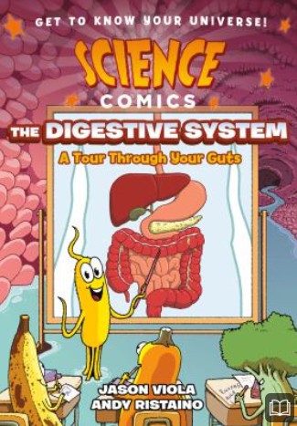 the digestive system