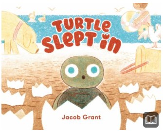 turtle slept in