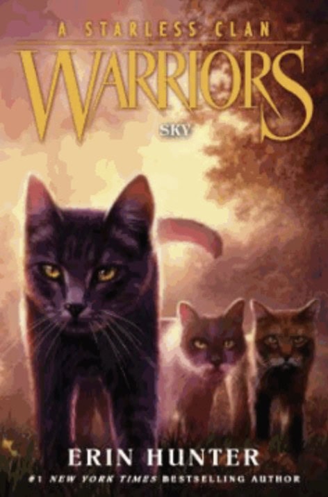 warriors sky